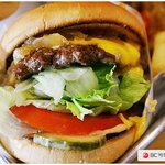 [틴펫스토리] 2,900원 <b>짜리</b> 햄버거.jpg