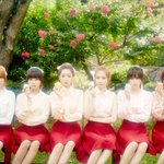 <b>티저</b>컨셉 다 다른 에이핑크