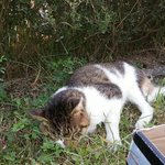 [살구] 기회조차 주어지는것이 살구에겐 사치일까요..?