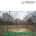서울에 있는 "습지"를 구해주세요! 有