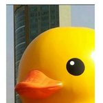 [EXO] <b>아</b> <b>제발</b> 이런음란마귀들