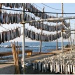 구룡표과메기 유래와 과메기 맛있게 먹는 법