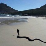 [추억파리여] 세계에서 가장 위험한 해변