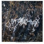 [널스토리] 3년 전 구제역, <b>ai</b> 가축 매몰지의 현재 모습