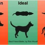 [반려견간식] 강아지 비만 <b>no</b>.2 / 비만 체크