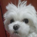 [EXO] 내남친이다 <b>인사</b>해