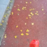 [EXO] 나오늘 립스틱 이따<b>구로</b>됨;