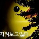 [EXO] 각자 생각하는 십이기 레전드는?