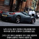 [널스토리] 갑부의 대출 <b>사유</b>