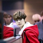 [<b>루한</b>] 아침 눈떠지는 순간부터  하니가 너무 그리워 ㅠㅠ
