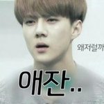 [EXO] 아 걍 우리 다 존나 <b>애잔</b>하다;;;