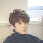 [EXO] 엑소는 정말