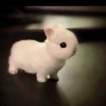 오늘 <b>김장</b>하러가는 사람있음?