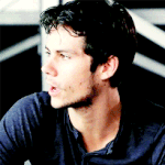 [뉴트] 서버주소 이고임 