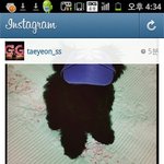 [EXO] ㅌㅇ 인스타 이거 <b>뭔</b> <b>생각</b>들어?