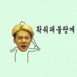 [EXO] 아베크롬비홀리스터후리스입지마라