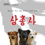 [유기견] [나주천사의집/<b>믹스</b>] 박스에 싸여 버려졌던 삼총사 금강...