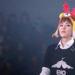 [EXO] 내새끼 까<b>인거</b> 생각하면 됴줌들 