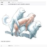 [널스토리] <b>전설</b>의 애견카페 광탈 짤.jpg