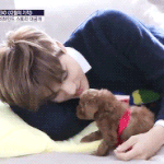 [EXO] 화질 좋은 카메라<b>어플</b> 추천좀해줘ㅠㅠ