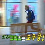 [EXO] 근데 김유정얼굴에서 <b>현아</b>보이지않음?