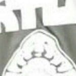 [인피니트] 애들아 잉톡<b>지식</b>인 질문좀
