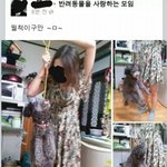 [추억파리여] 페북 싸이코<b>패스</b>女 jpg
