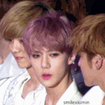 [뉴트] 근데 궁금한고 있음