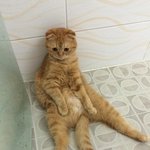 [인피니트] <b>울림</b> 사랑해