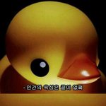 [EXO] 난<b>쌍액</b>ㄹㅇ후회함