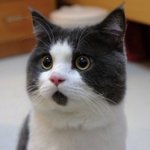 [팬픽] 죽.천 ) <b>팬아트</b> 봄?