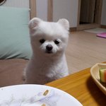 [EXO] 솔직히 디오 프엑말인데....