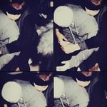 [EXO] (마네킹에빙의한다) 아 박찬열 <b>저리</b>가라고 ~
