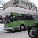 [널스토리] 겨울에 <b>제철</b>인 초밥 甲