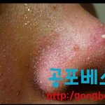 코팩후기