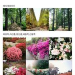 [EXO] 아ㅁㅊ레이숲눈쌓였을때 가면