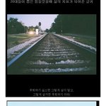 [<b>루니</b>시] [필독]20대들이 뽑은 힘들때 힘이 되어준 글귀