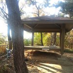 산책하다 <b>푸념</b>