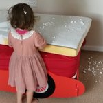 [사고뭉치네] 우리집 사고뭉치들을 소개합니다.18