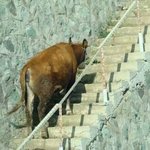 [EXO] 그래도여기서예방<b>접종</b>맞는거같다