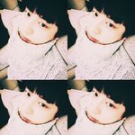 [뉴트] 워qyqyu<b>터보</b>이 접속 안됨