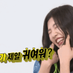 [EXO] 주간아에서 <b>조이</b>2 이부분에서