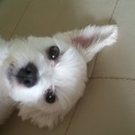 [EXO] 니네 내일아침에 이불찬다 <b>미친년</b>들앜ㅋㅋㅋㅋㅋㅋㅋㅋㅋㅋㅋㅋㅋㅋ...