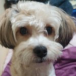 인천 문학동이나 학익동에 사는 <b>미현</b>씨 계시나요??