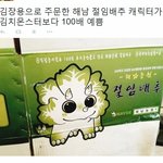 [널스토리] 해남 농원 절임 <b>배추</b> 캐릭터.jpg