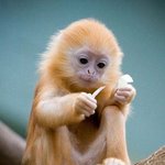 [EXO] <b>악개들</b> 밥은 먹고 다니니‥