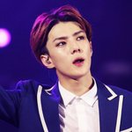 [EXO] 일본프리뷰 안올라오는이유