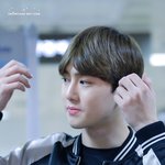 [EXO] 근데이거보면강남언니생각남ㅋㅋ