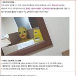 [널스토리] 사이퍼즈 <b>러버</b>덕 이벤트 반전.jpg