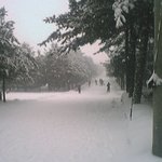 [널스토리] <b>군인</b>들이 보면 살의가 치솟는 사진